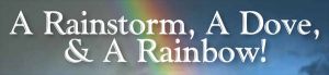A Rainstorm, A Dove, and A Rainbow!