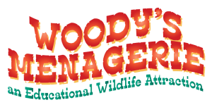 Woody's Menagerie